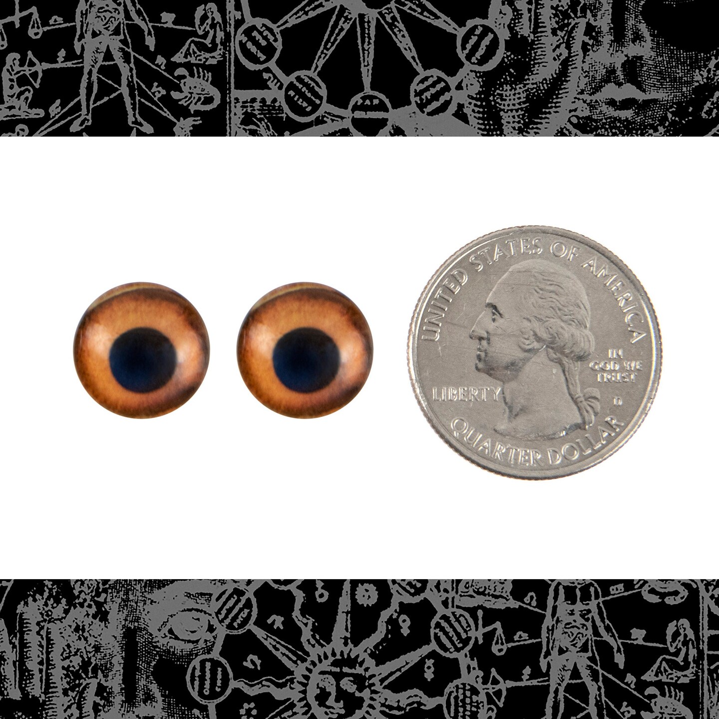 12mm Orange Eye Cabochons - Set of Two - CAB44