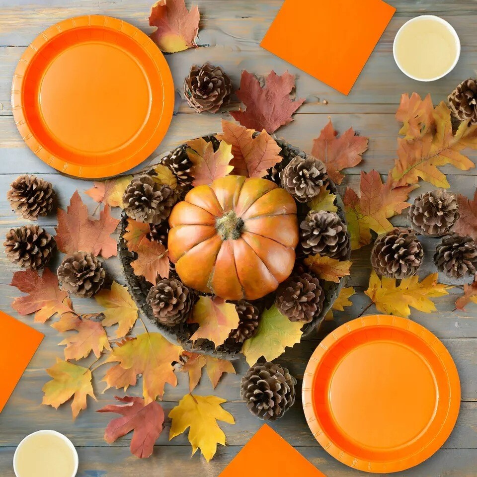 Serves 24 Orange Party Supplies with Paper Plates, Cups, and Napkins, 72 Pieces