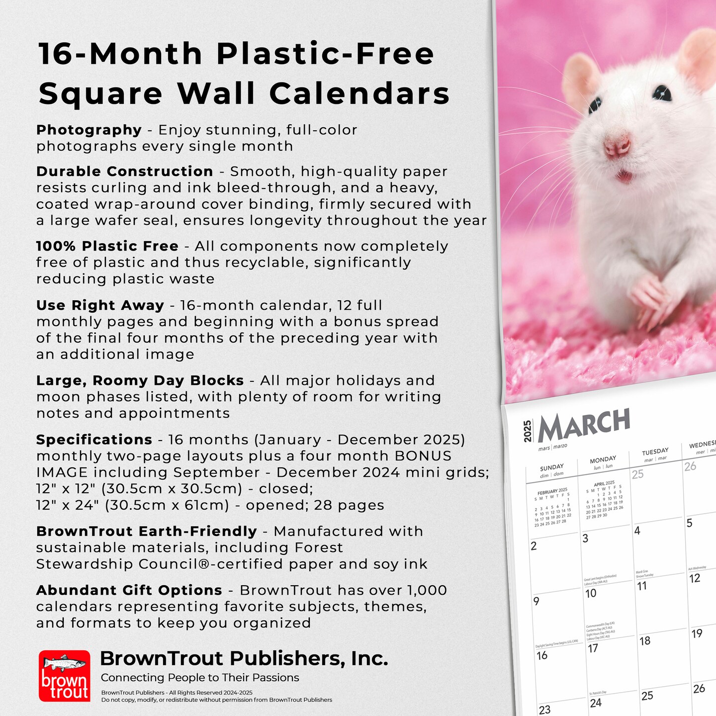 Rats | 2025 12 x 24 Inch Monthly Square Wall Calendar | Plastic-Free | BrownTrout | Domestic Animals Mouse