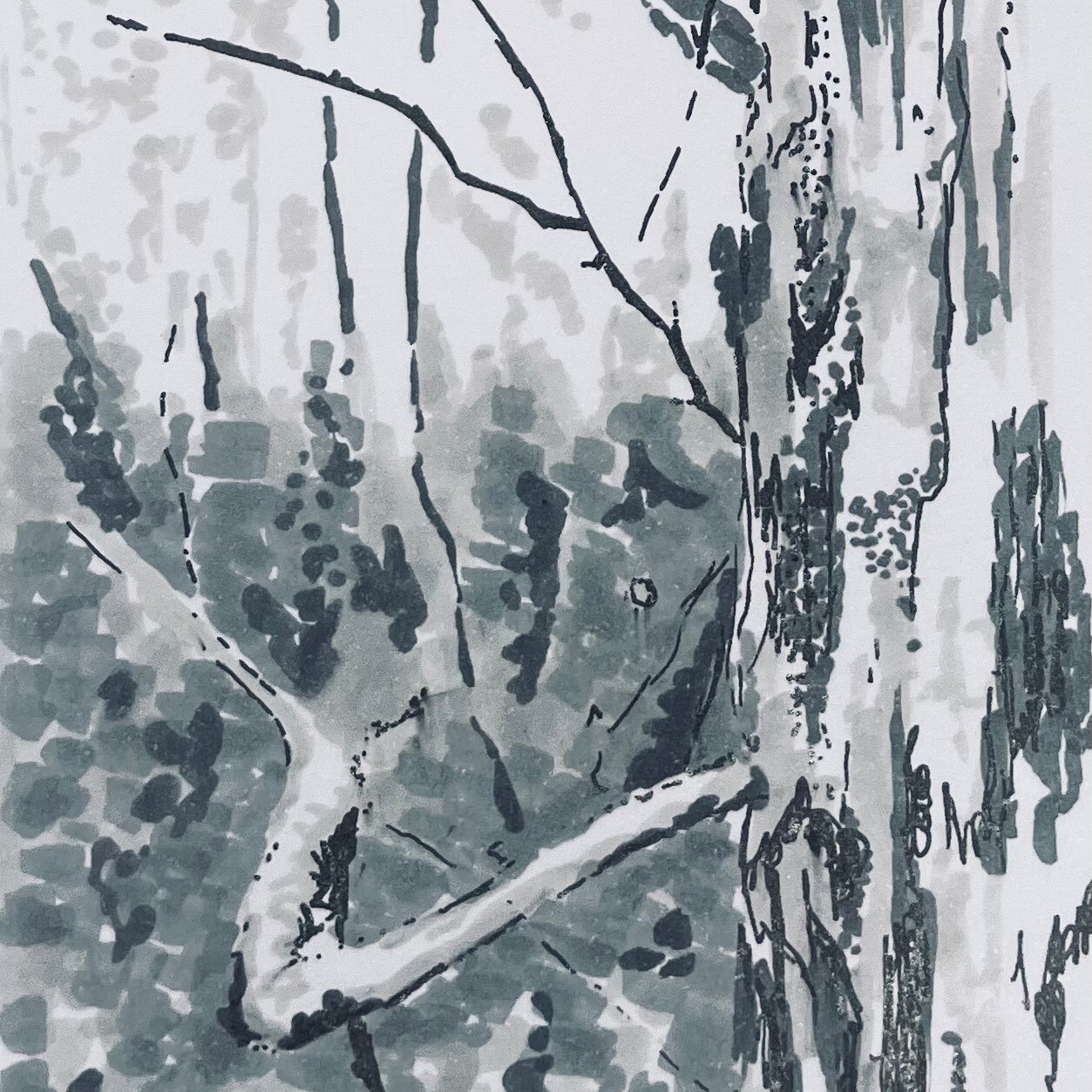 Tree Studies, part II