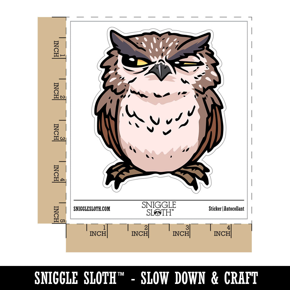 Water Bottle Sticker Set Suspicious Doubtful Owl Side Eye Bird Cute Waterproof Vinyl Stickers Pack Decal, Skateboard, Laptop, Car, Window, Bumper - 5 Pack