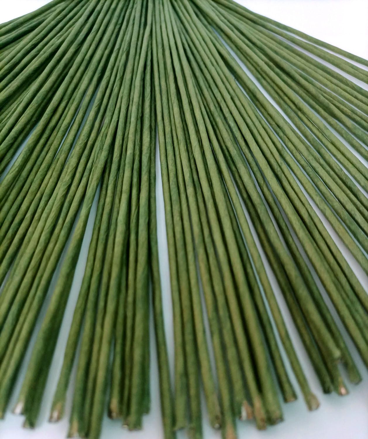 Floral Stem Wire, 100 Pcs, 2 Gauge, 10 Inch, Flower Stems, Artificial Green Crafts Wire Wreath Making Supplies for Flower DIY