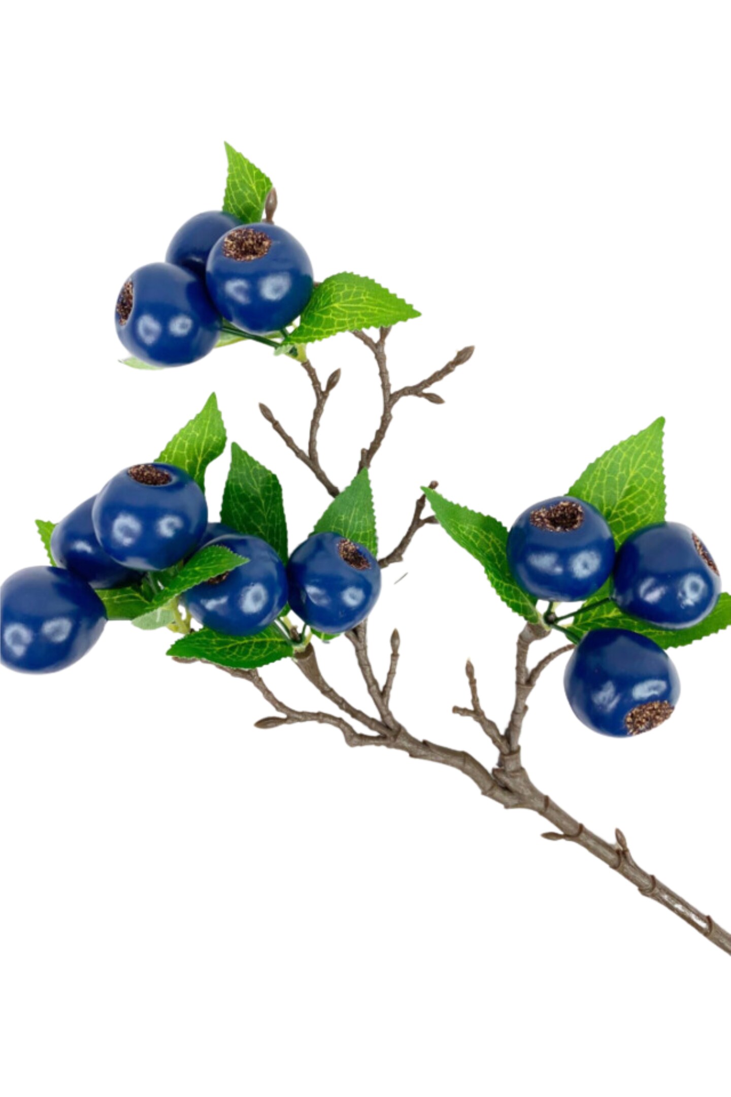 23&#x22; Blueberry Spray