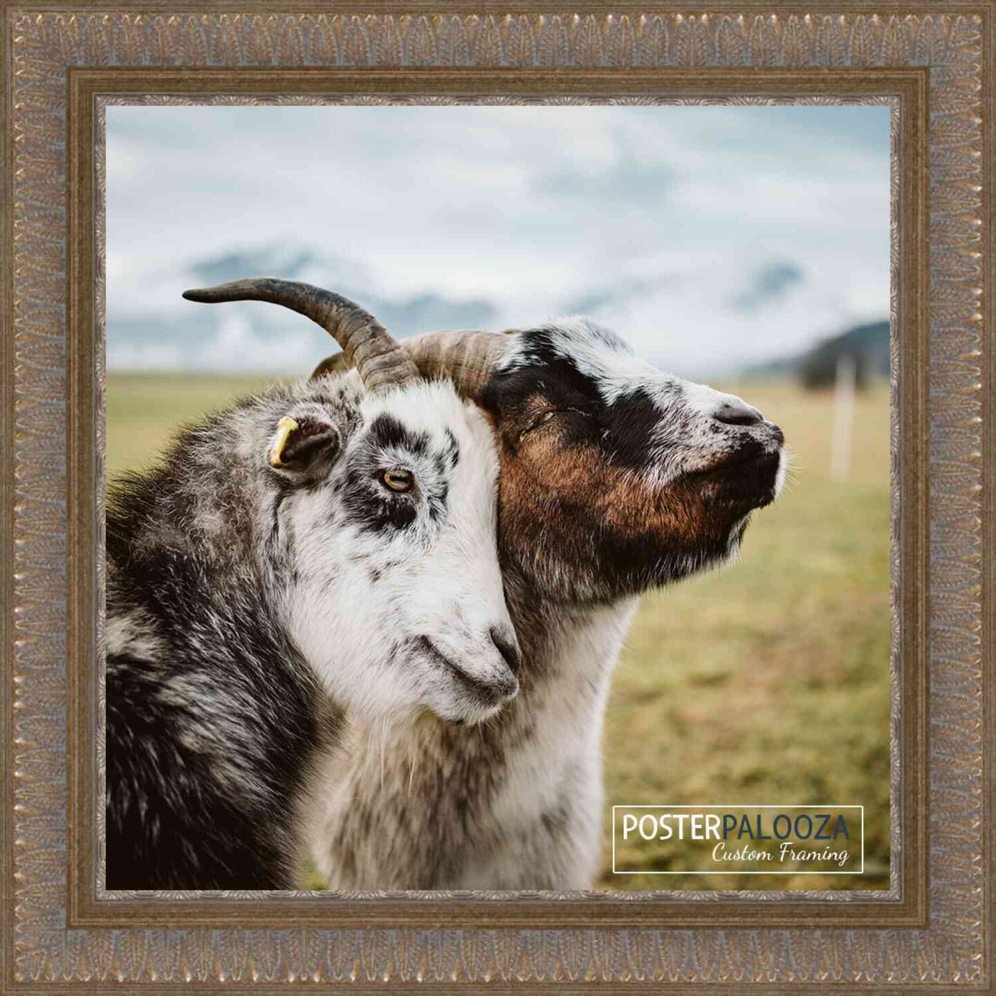 Square Ornate Gold Picture Frame - UV Acrylic, Foam Board Backing, Hanging Hardware