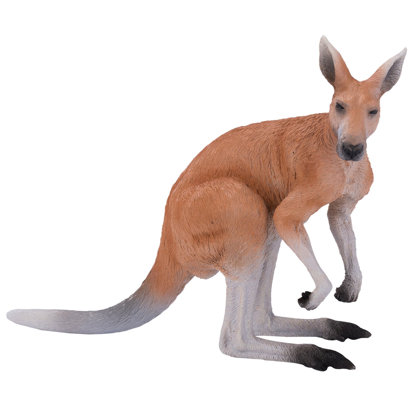 MOJO Kangaroo Realistic International Wildlife Hand Painted Toy Figurine