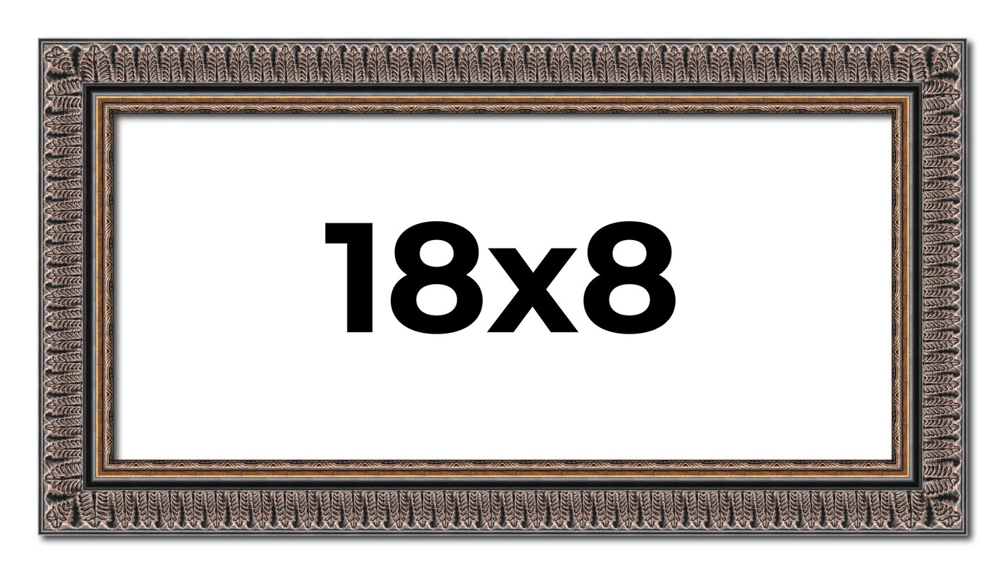 Panoramic Ornate Black Picture Frame - UV Acrylic, Foam Board Backing, Hanging Hardware