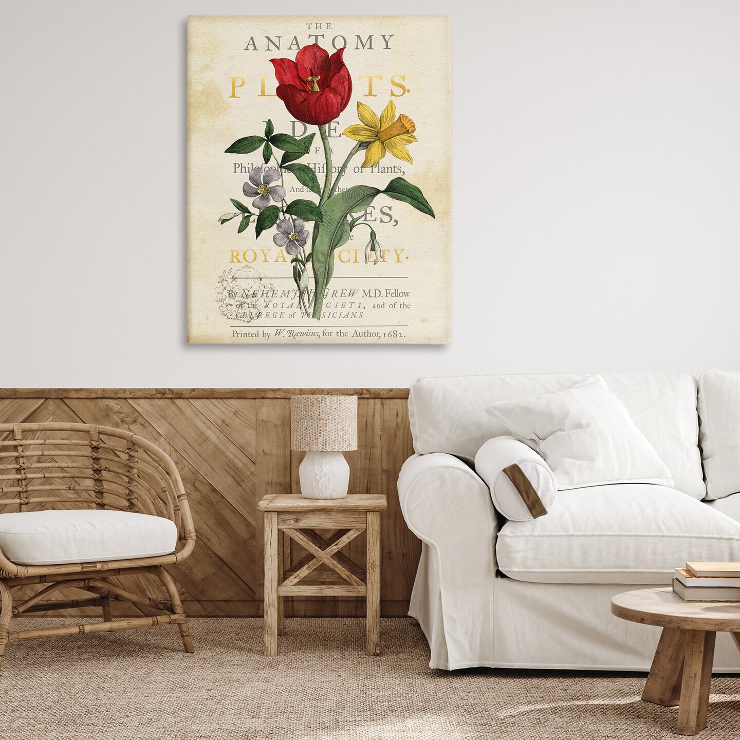 Stupell Industries Antique Anatomy of Plants Canvas By Susan Arnot