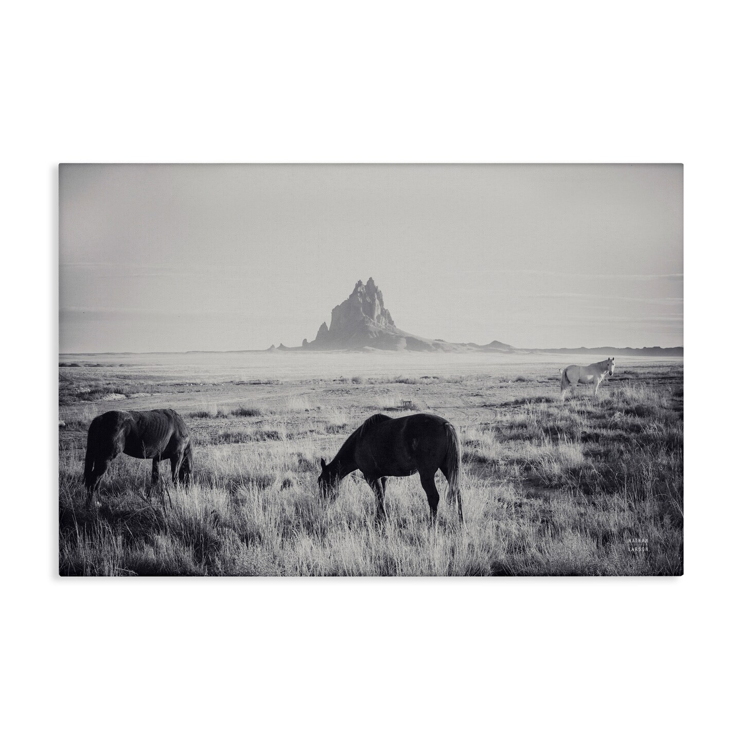 Stupell Industries Western Range with Horses Canvas By Nathan Larson