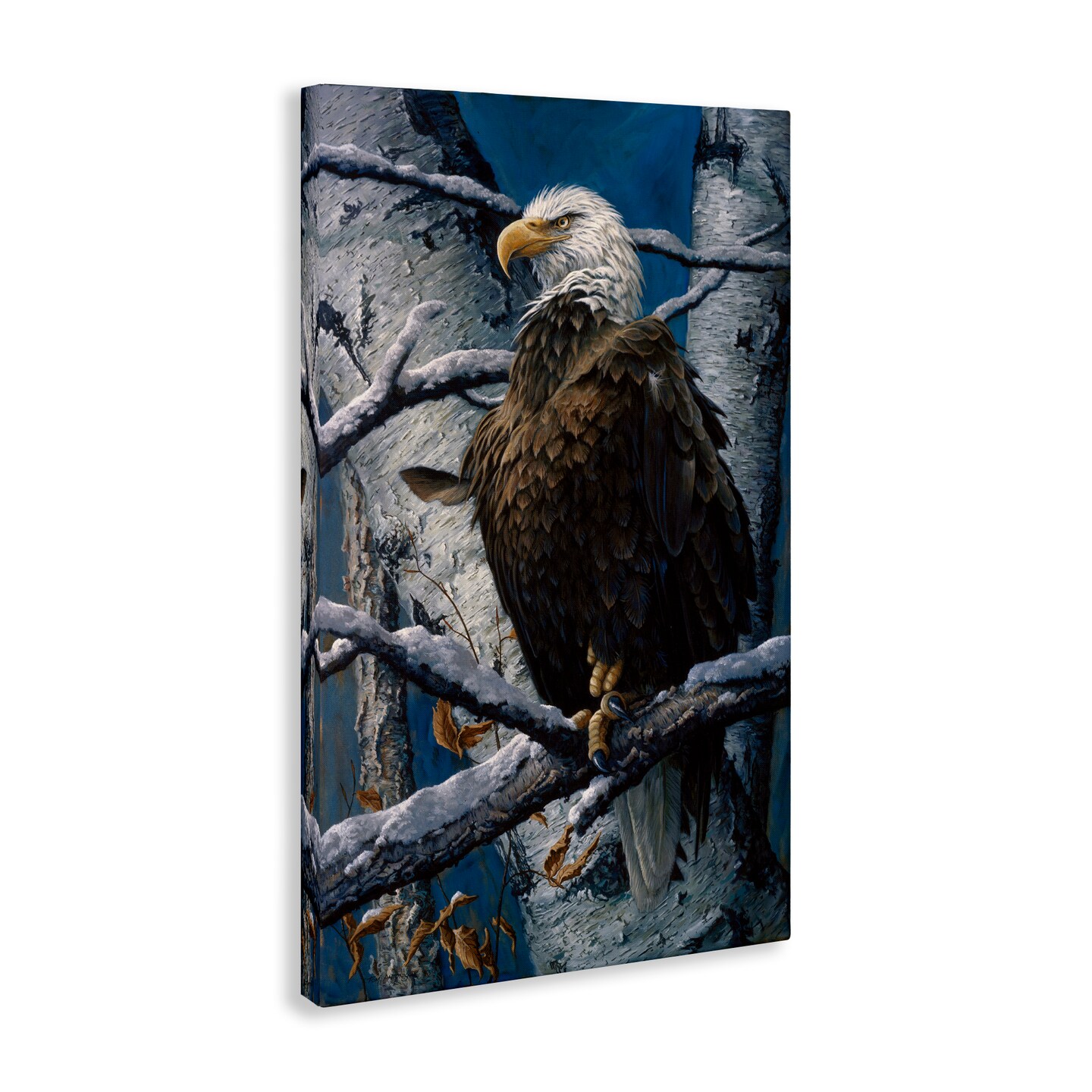 Stupell Industries America&#x27;s Pride Bald Eagle Canvas By Tom Antonishak