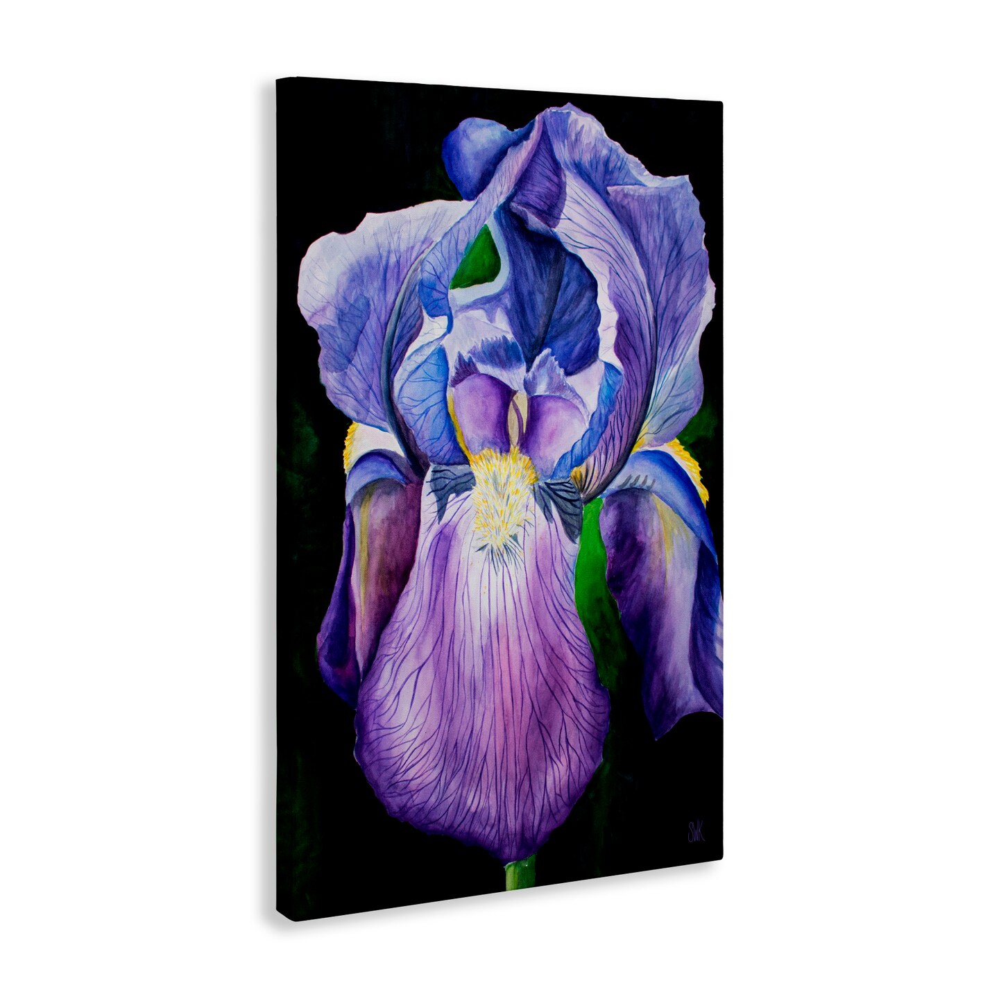Stupell Industries Purple Iris Petals Canvas By Sarah Waldron Kimball
