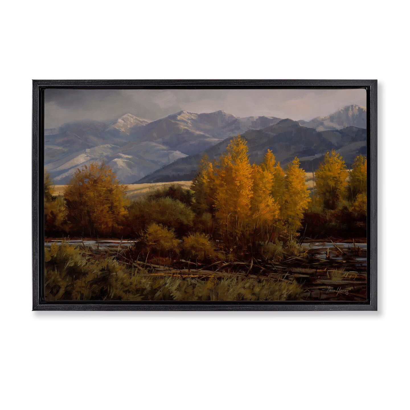 Stupell Industries Morning In Montana Mountains Floating Frame By Paco Young