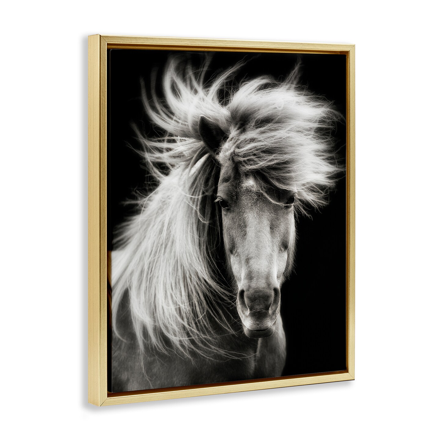 Stupell Industries Windblown Mane Horse on Black Floating Frame By PHBurchett