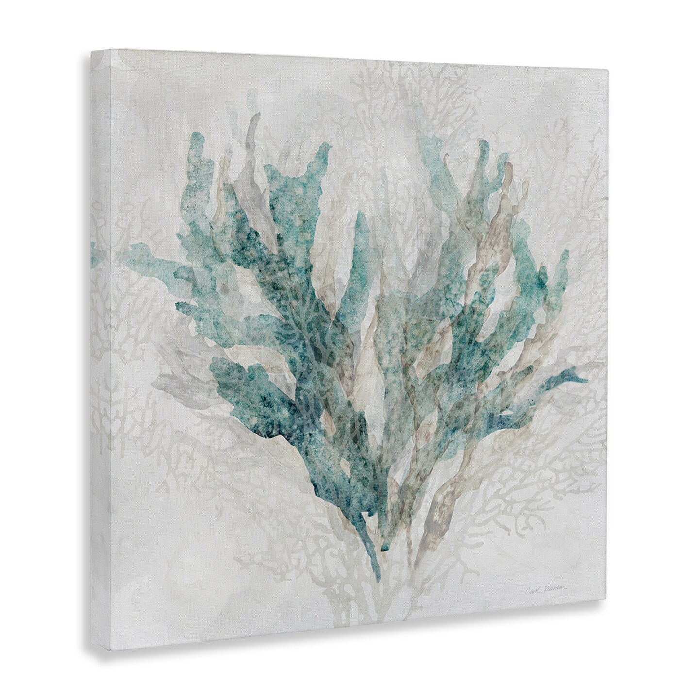 Stupell Industries Faded Coral Branches Canvas By Carol Robinson