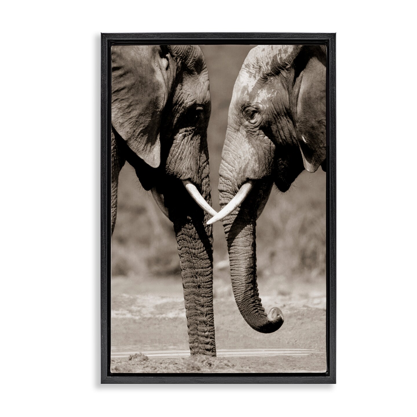 Stupell Industries Heartwarming Elephant Pair Floating Frame By Paul Souders