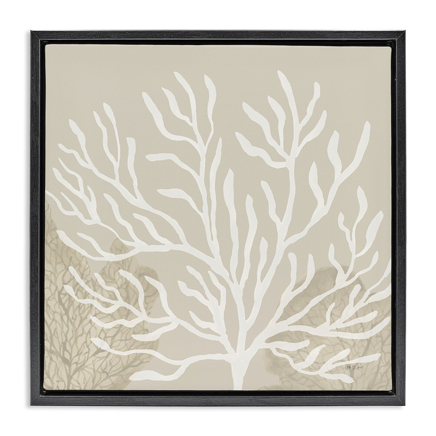 Stupell Industries Wide Coral Branches on Beige Floating Frame By Yvette St. Amant
