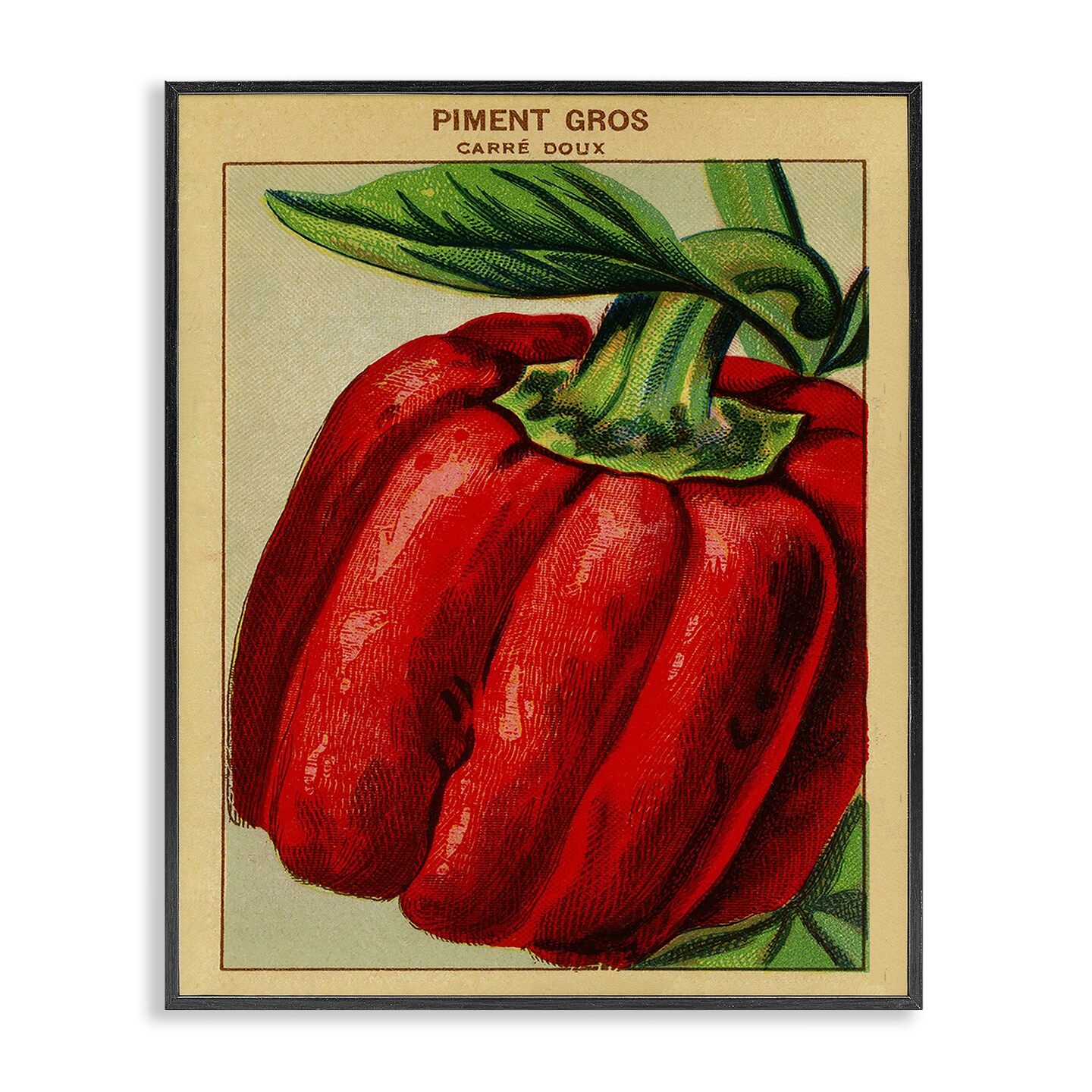 Stupell Industries Country Vintage Pepper Framed Giclee Design by Lil&#x27; Rue
