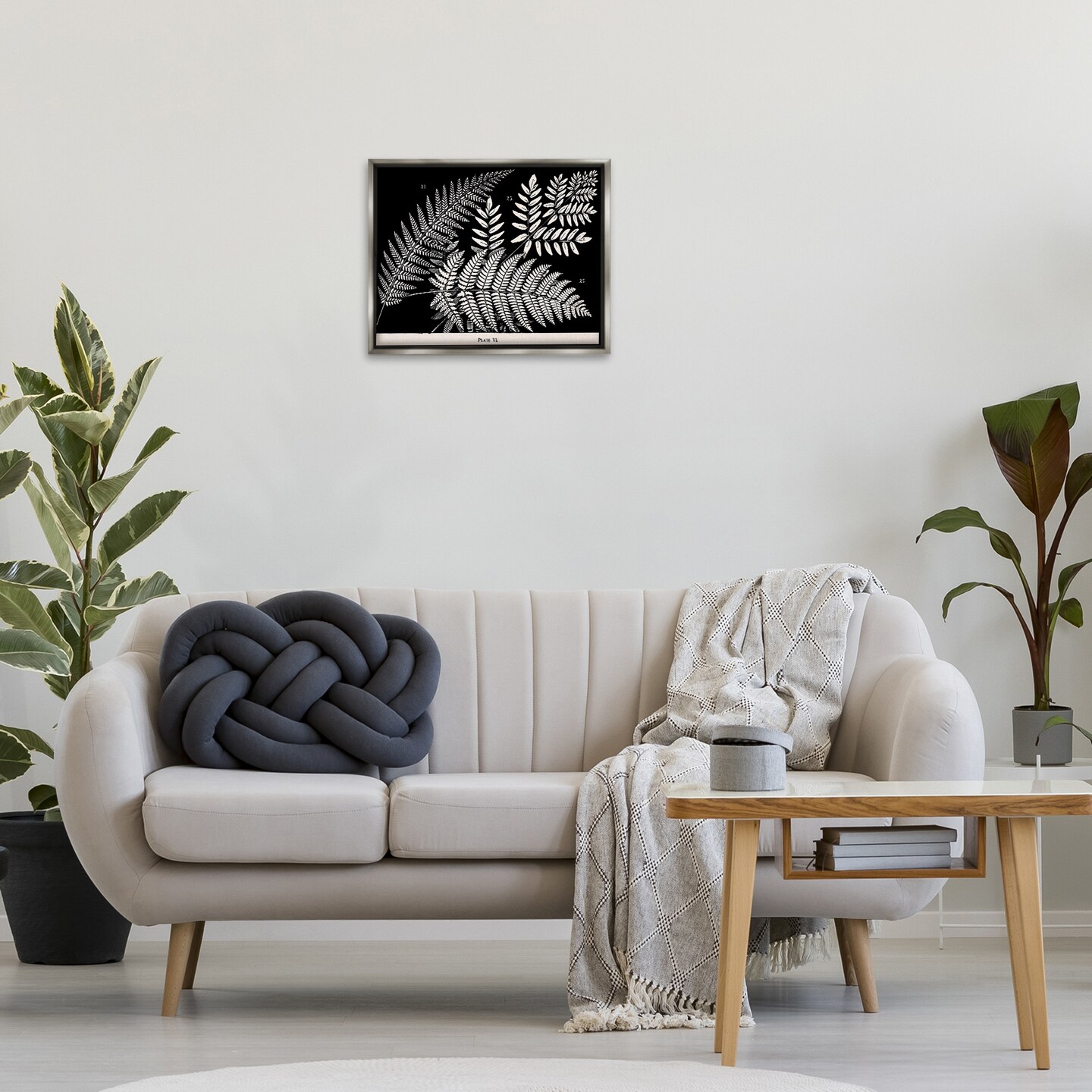 Stupell Industries Fern Varieties on Black Floating Frame Design by Phillipa Katz