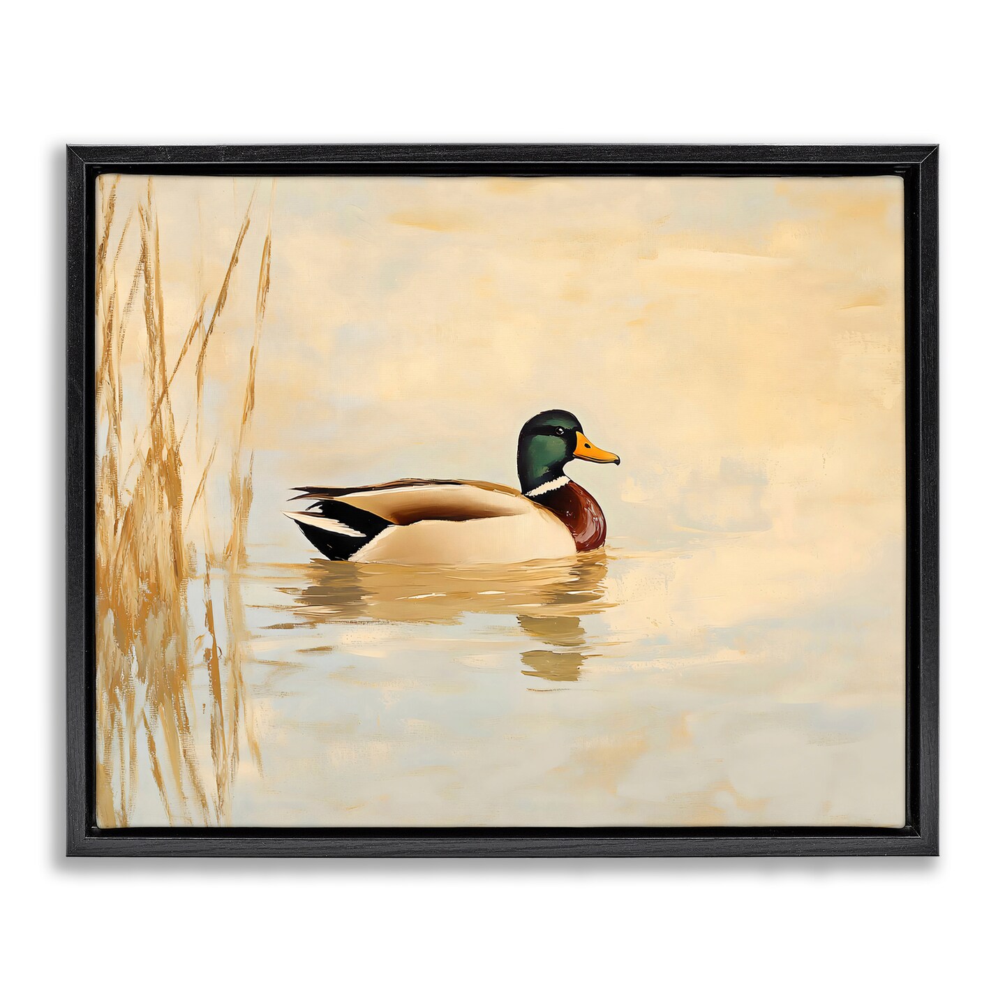 Stupell Industries Green Headed Duck Floating Frame By Franklyn Gregory