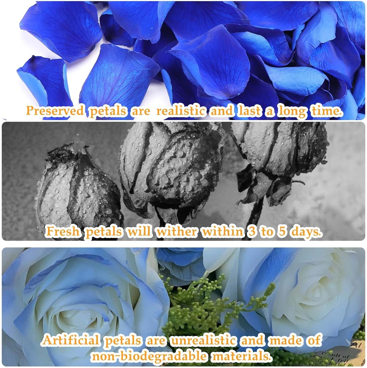 Dried Real Rose Petals, Natural Preserved Dry Flower Petals for Wedding Party Dinner Table Decor, Romantic Night for Her Set