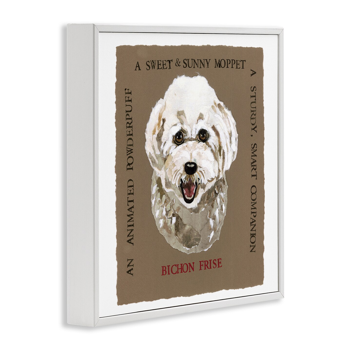 Stupell Industries Fun Bichon Frise Phrases Framed Giclee Wall Art Design by Nancy Overton
