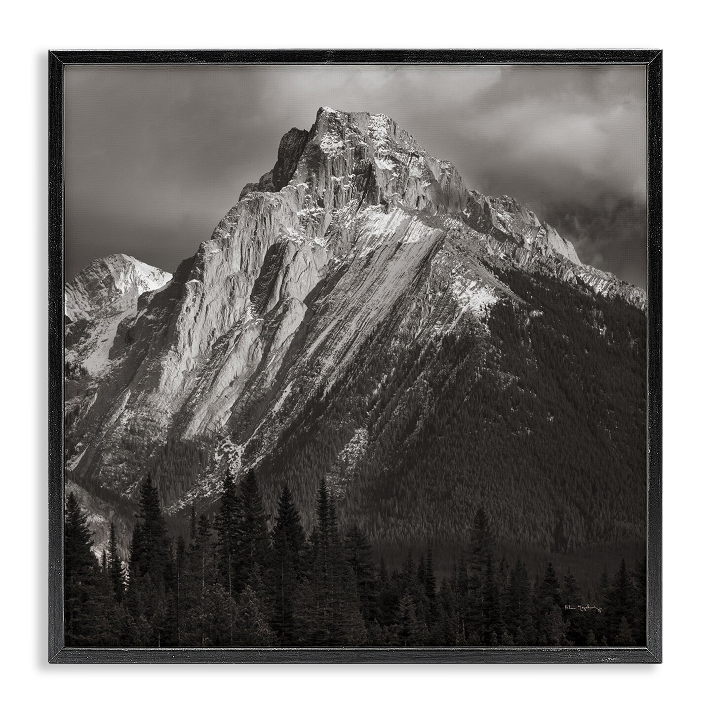 Stupell Industries Canadian Rockies View Framed Giclee Wall Art Design by Alan Majchrowicz