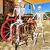Skeleton Full Body Human Skeleton for Halloween Decorations