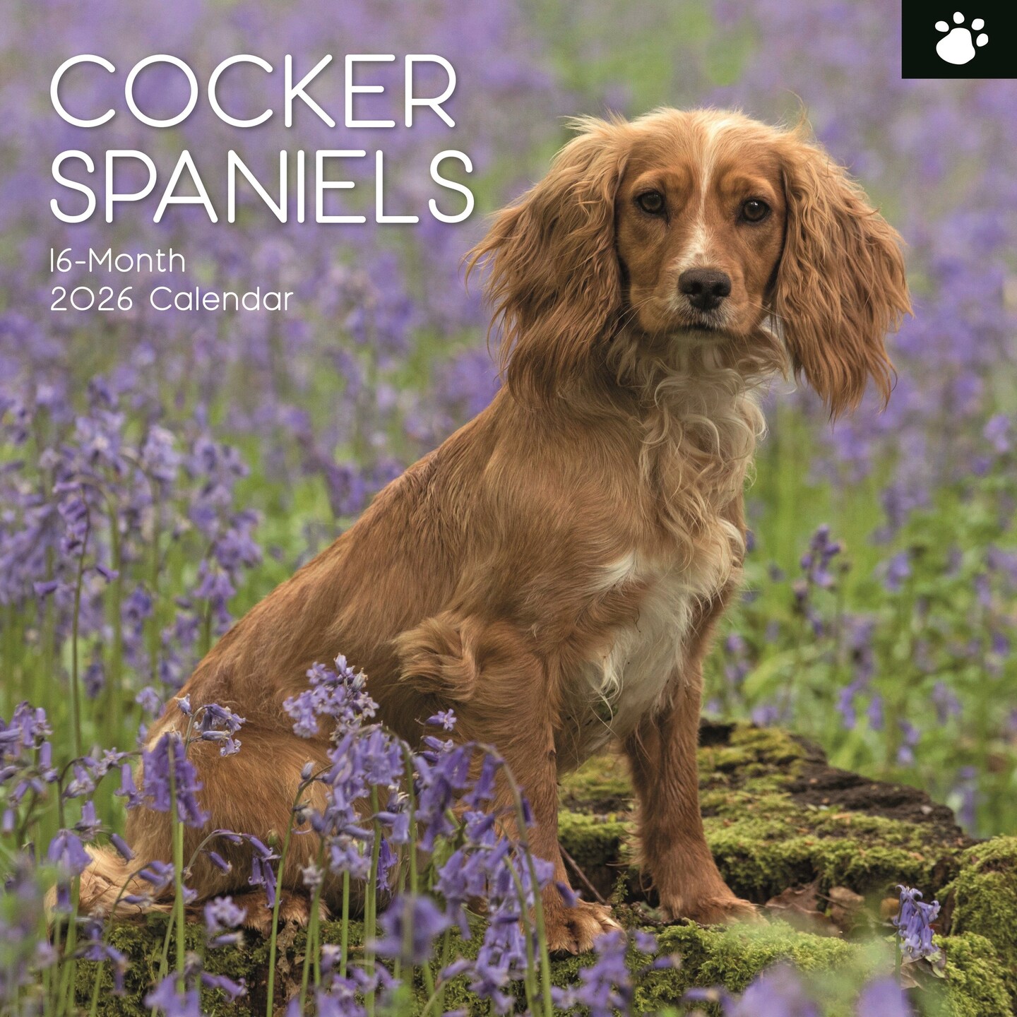 The Gifted Stationary 2026 Square Wall Calendar, Cocker Spaniels, 16-Month Animal Theme Hanging Calendar with 180 Reminder Stickers, Month Planner for Home, or Creative Spaces, 12x12 In