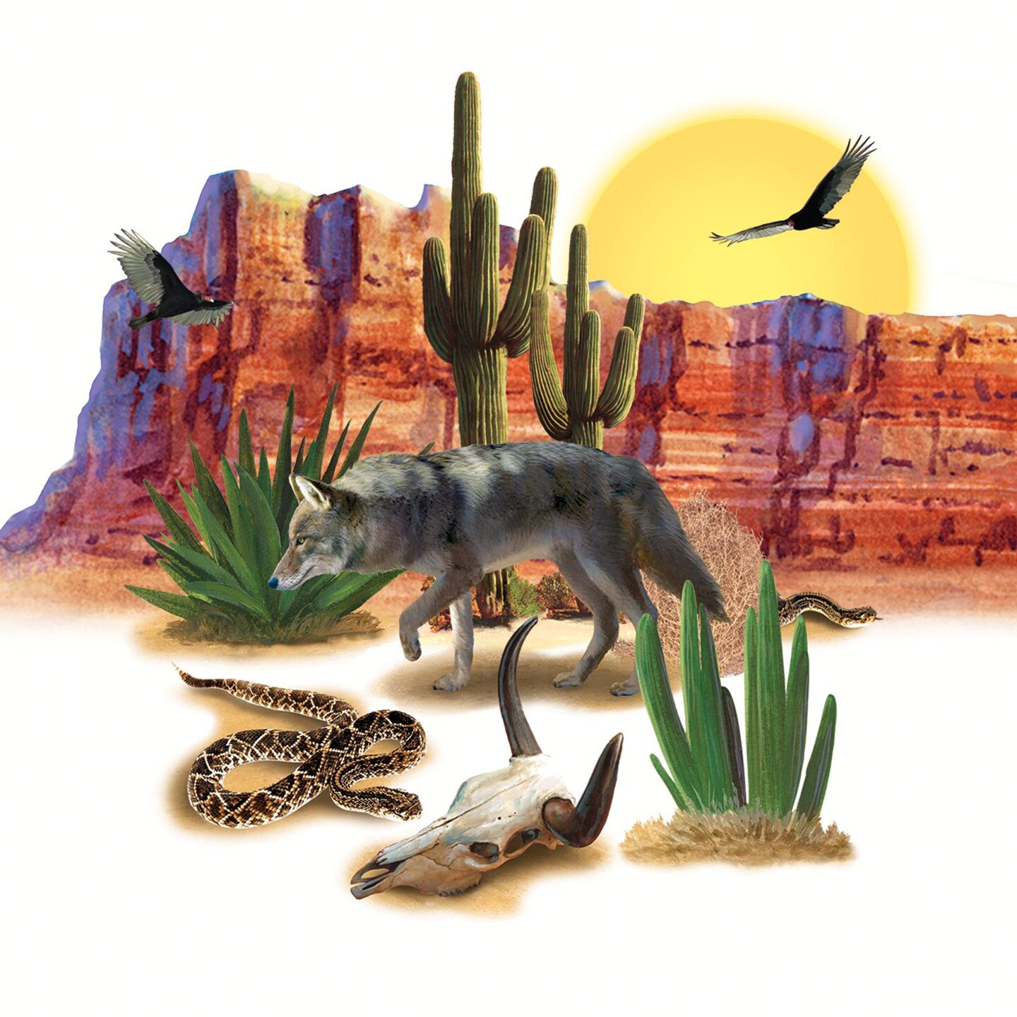 348 Piece Beistle Wild West Desert Party Props