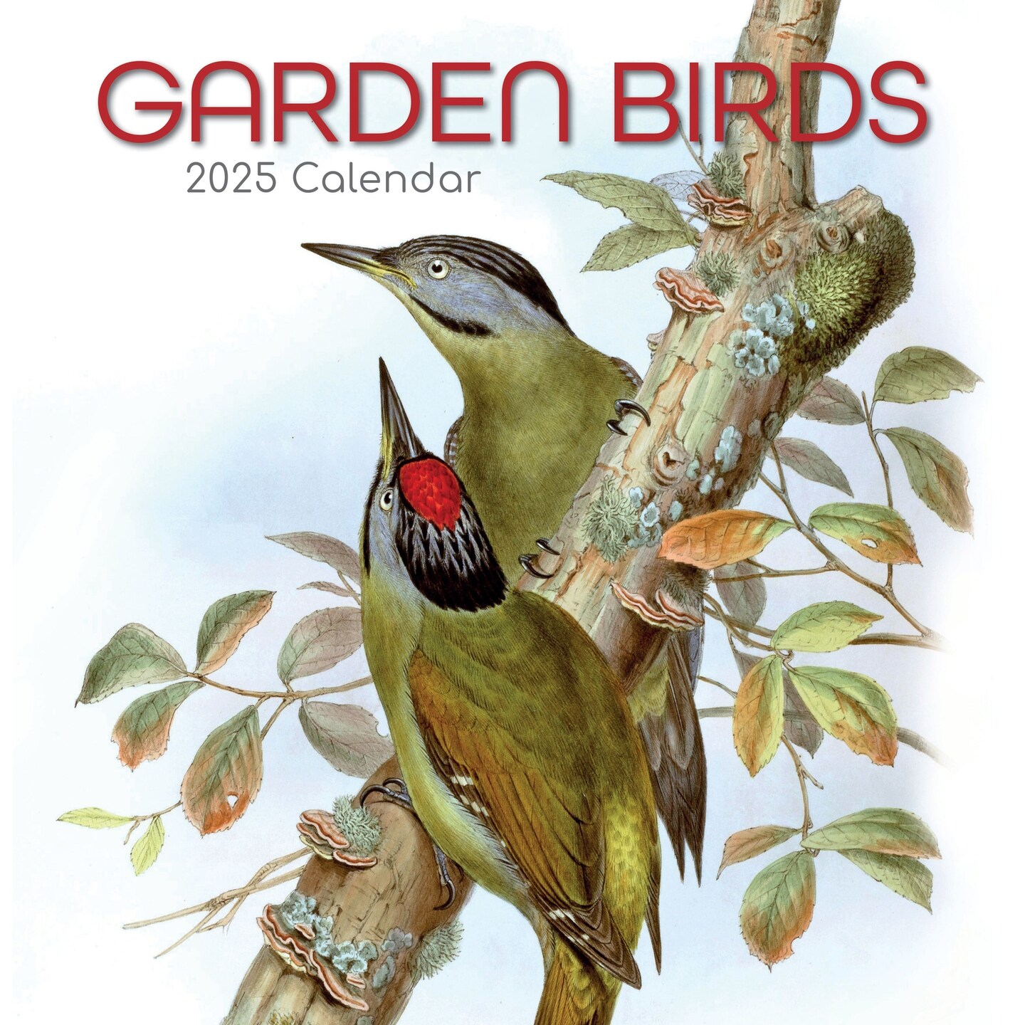 The Gifted Stationary 2025 Square Wall Calendar, Garden Birds, 16-Month Bird Theme Hanging Calendar with 180 Reminder Stickers, Month Planner for Home or Creative Spaces, 12x12 In