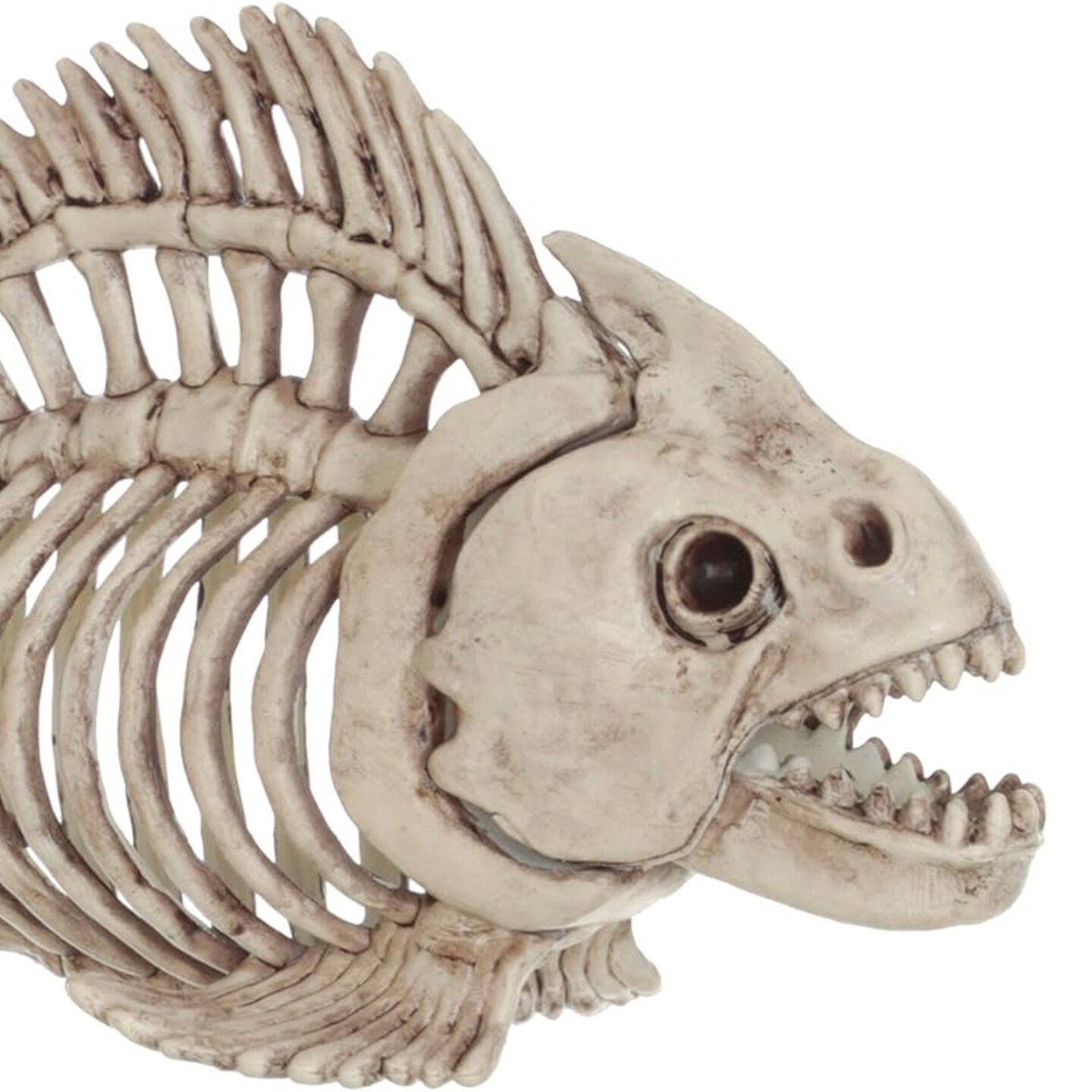 Realistic Skeleton Fish Decoration Ornament