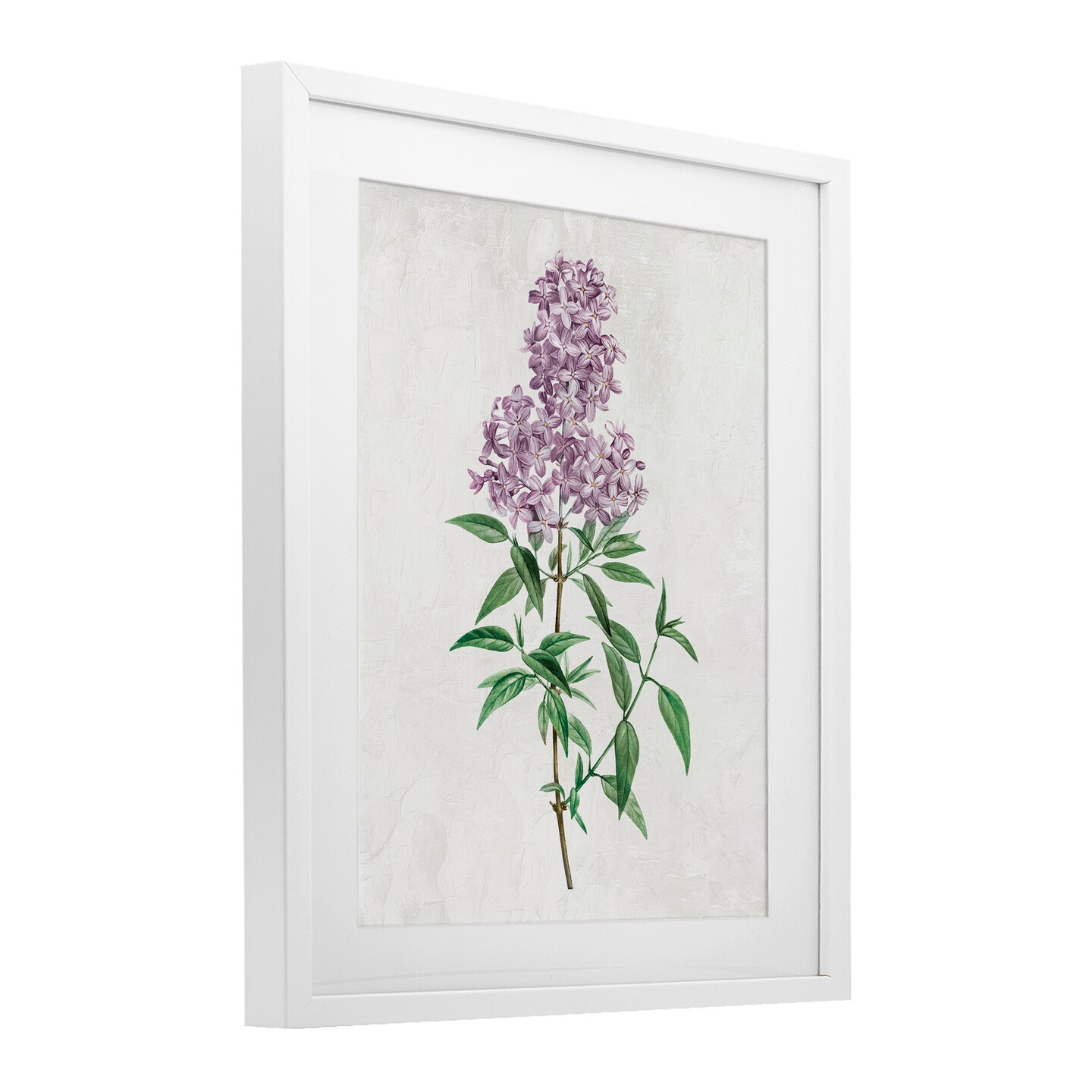 Stupell Industries Lilac Blossoms Blooms Framed Print Under Glass, design by Kim Allen