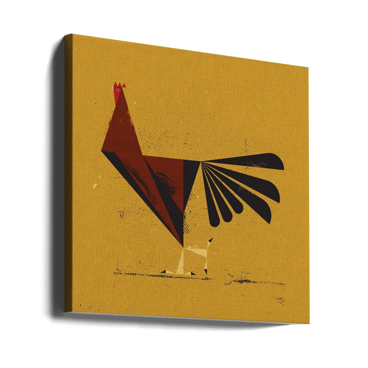 Rooster Square 24x24 Canvas - Corporate Office Art