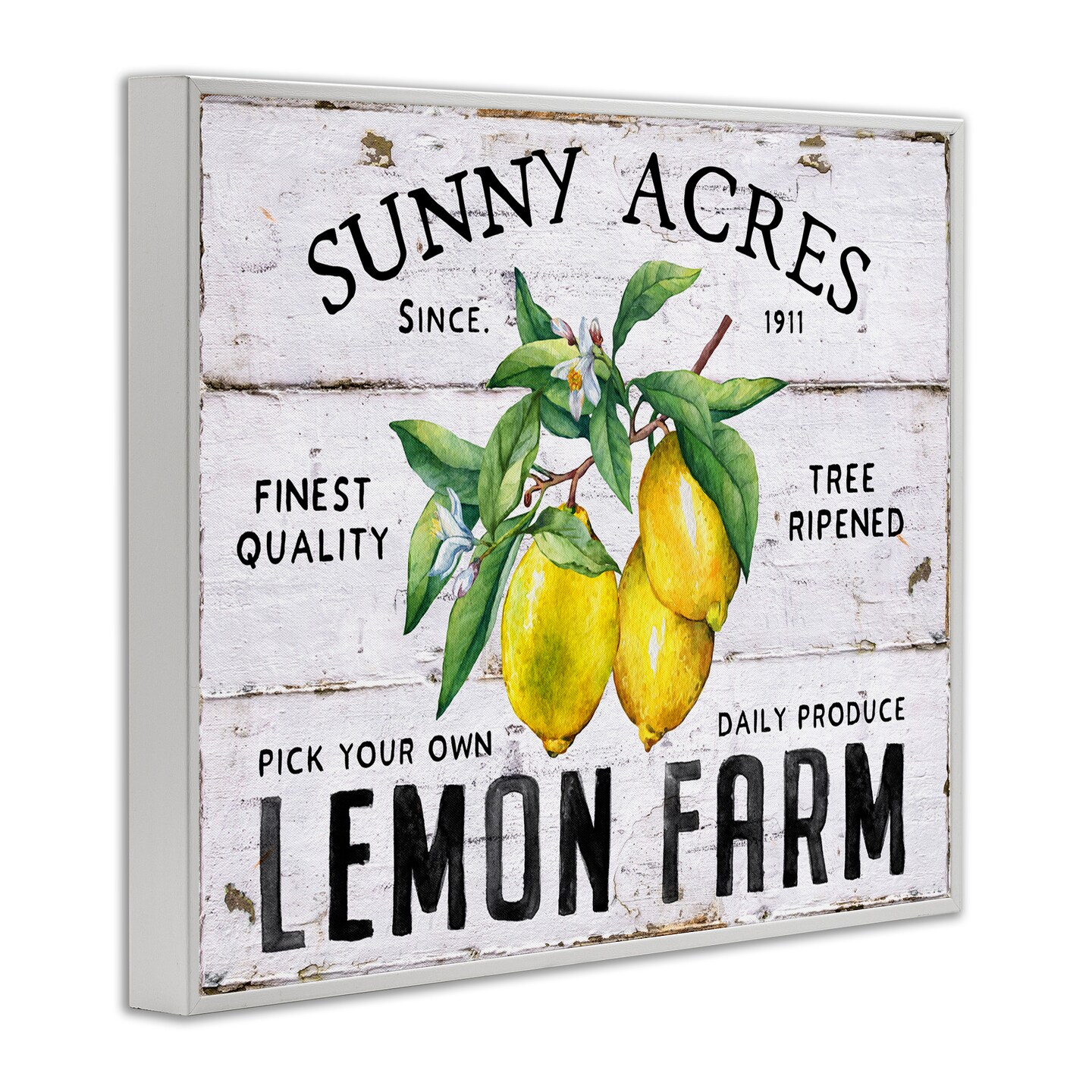 Stupell Industries Sunny Acres Lemon Farm Framed Giclee Wall Art Design by Creatif Belle
