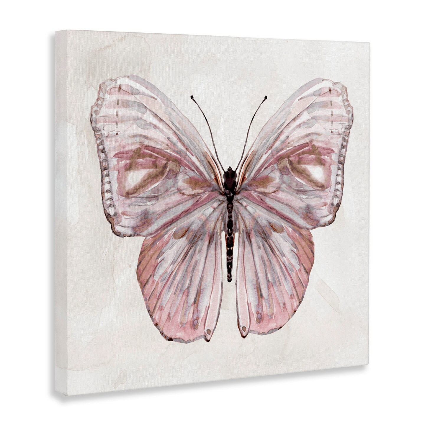 Stupell Industries Muted Pink Butterfly Canvas, design by Carol Robinson