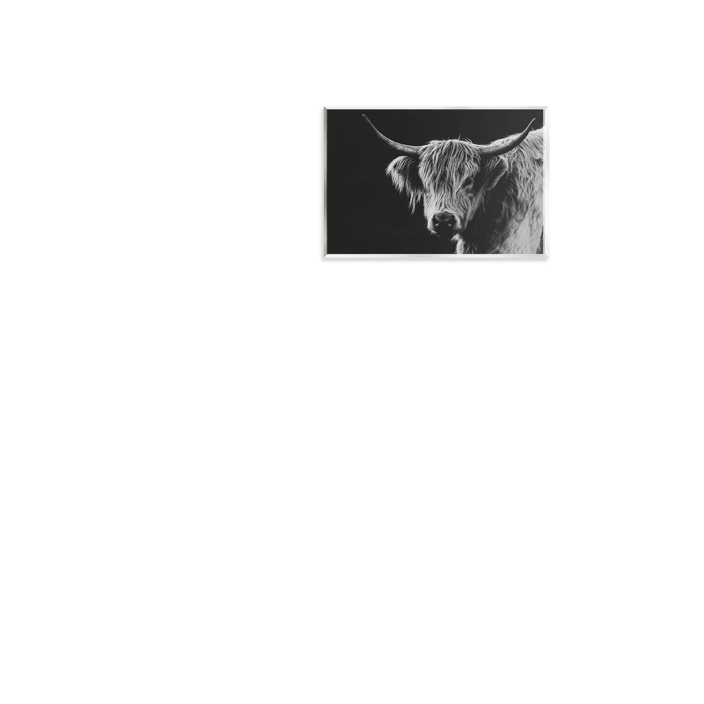 Stupell Industries Scottish Highland Cattle Wall Plaque, design by Crystal Lynn Collins