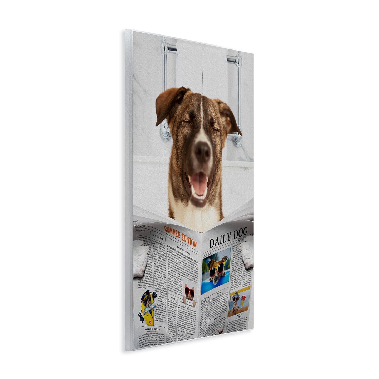 Stupell Industries Daily Dog Bathroom Humor Wall Plaque, design by Jesse Keith
