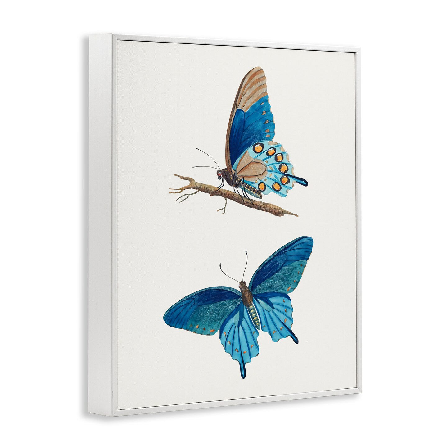 Stupell Industries Blue Butterflies Pair Framed Giclee, design by Arlington Prints