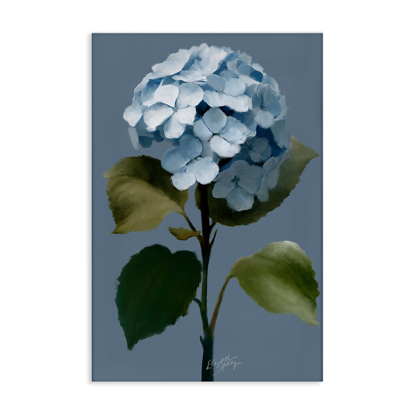 Stupell Industries Delicate Blue Hydrangea Canvas Wall Art Design by Elizabeth Medley