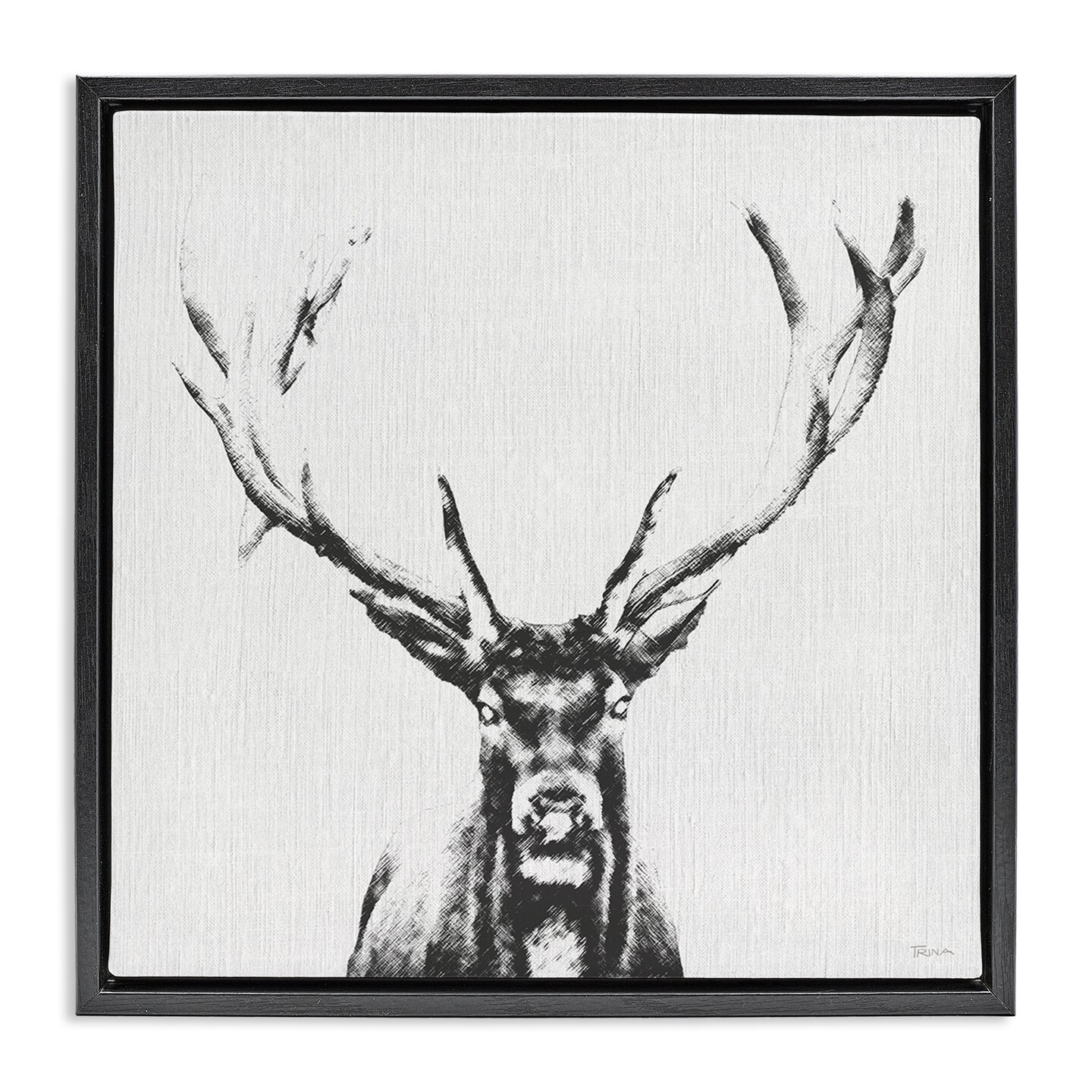 Stupell Industries Stag Sketch in Grey Framed Floater Canvas Wall Art Design by Katrina Craven