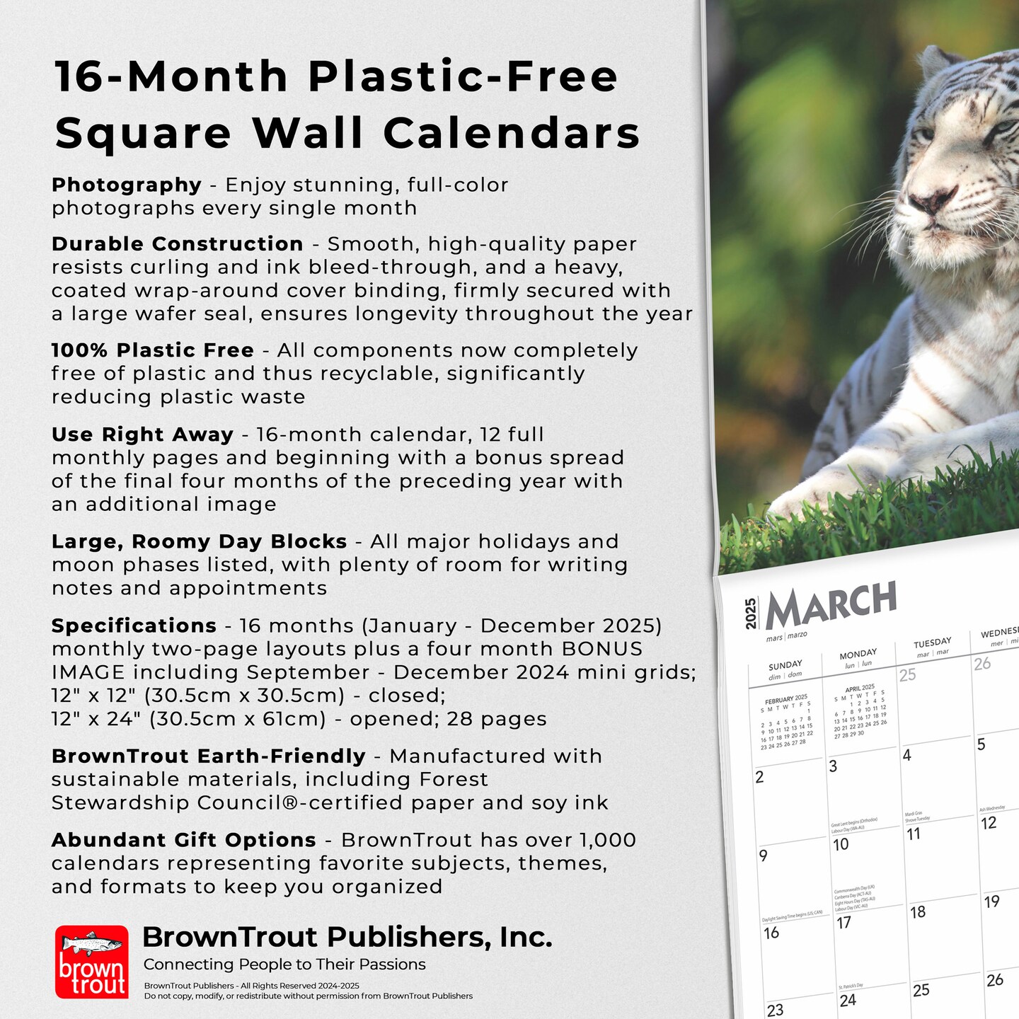 White Tigers | 2025 12 x 24 Inch Monthly Square Wall Calendar | Plastic-Free | BrownTrout | Wildlife Zoo Animals