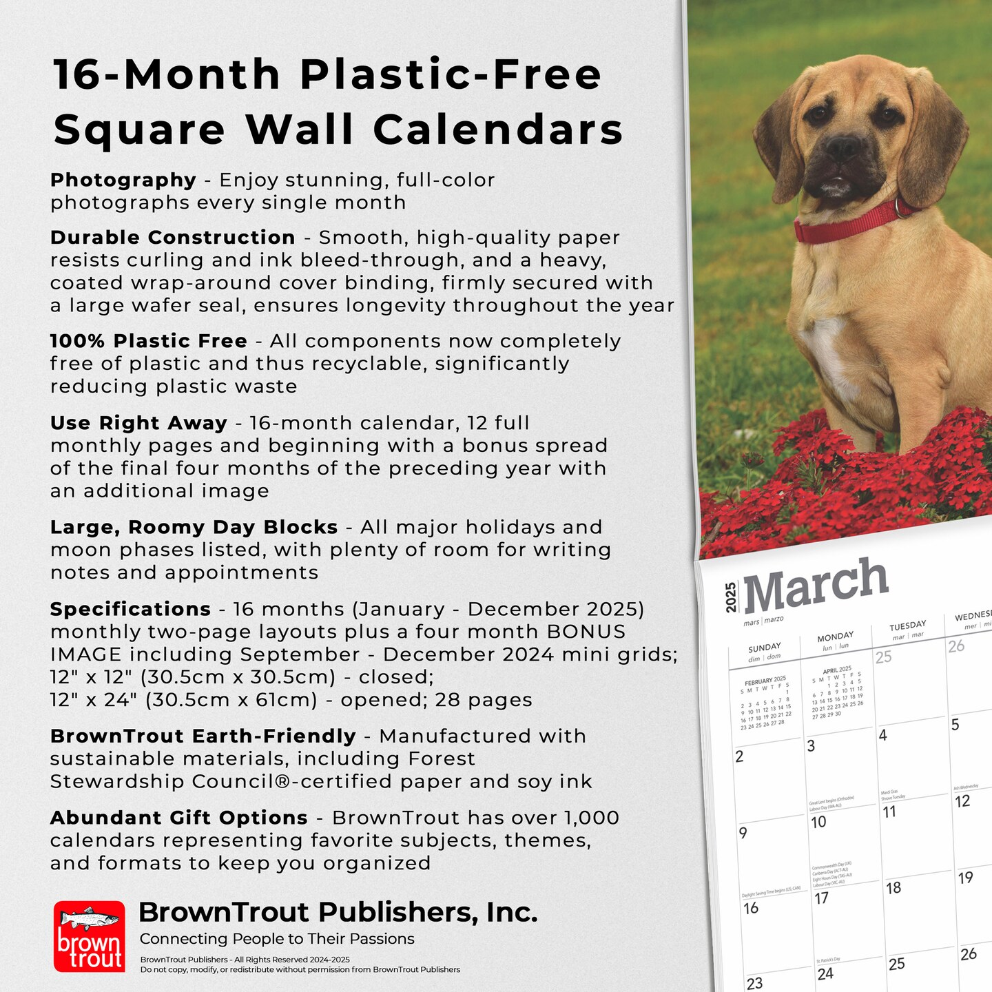 Puggles | 2025 12 x 24 Inch Monthly Square Wall Calendar | Plastic-Free | BrownTrout | Animals Mixed Dog Breeds