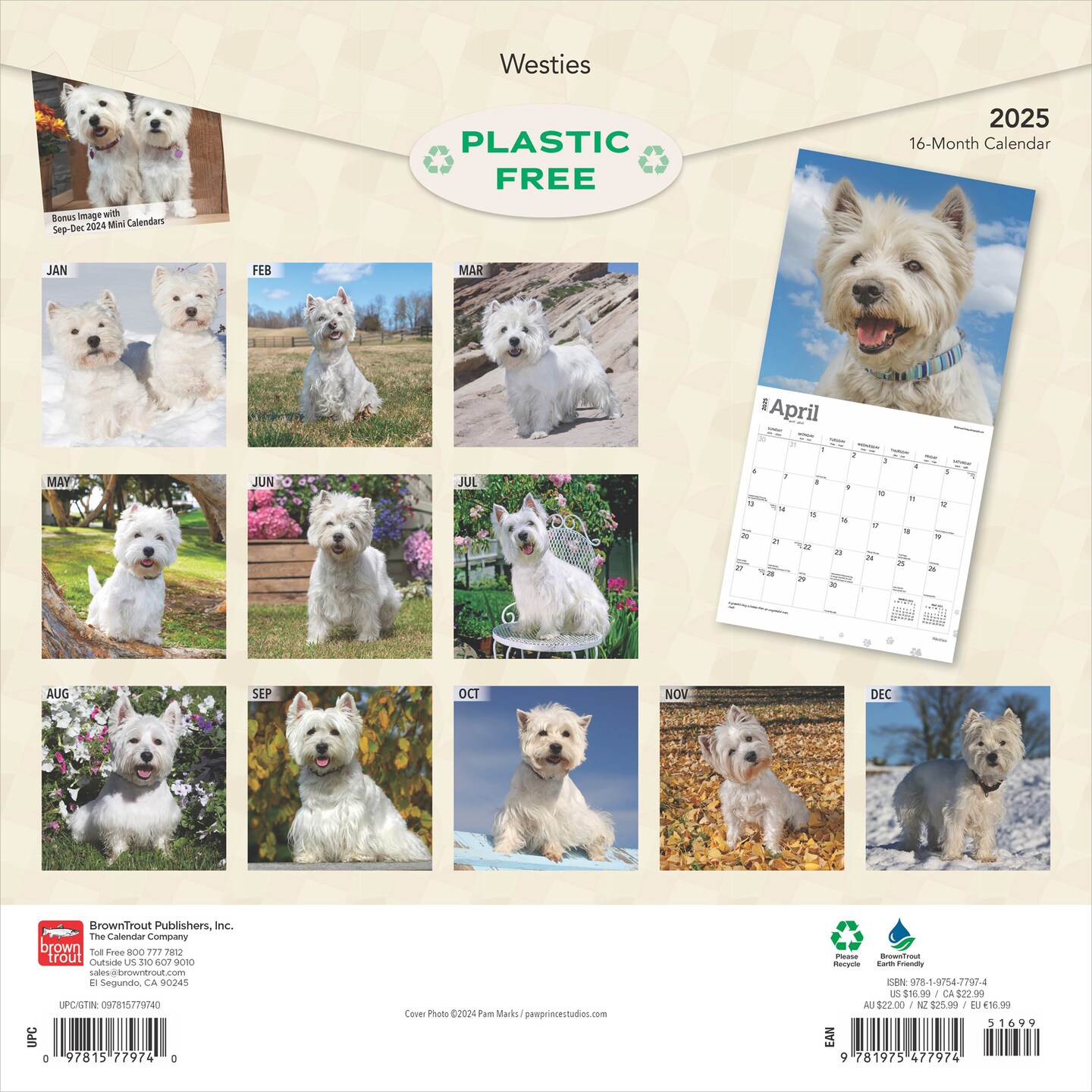West Highland White Terriers | 2025 12 x 24 Inch Monthly Square Wall Calendar | Plastic-Free | BrownTrout | Animals Dog Breeds Puppies