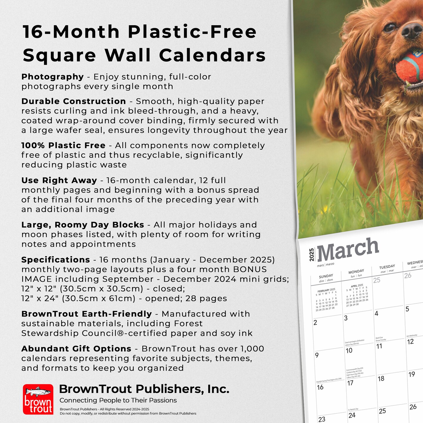 Cavalier King Charles Spaniels | 2025 12 x 24 Inch Monthly Square Wall Calendar | Plastic-Free | BrownTrout | Animals Dog Breeds Puppies