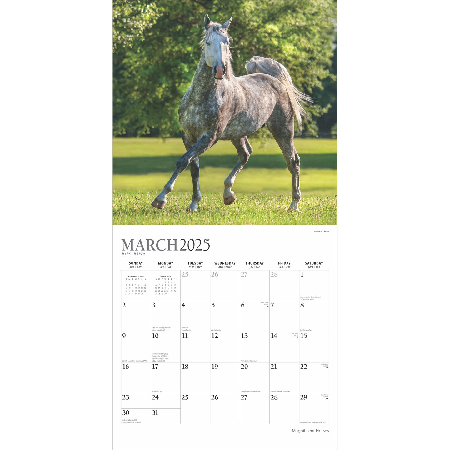 Magnificent Horses | 2025 12 x 24 Inch Monthly Square Wall Calendar | Foil Stamped Cover | Plato | Animals Horses Equestrian