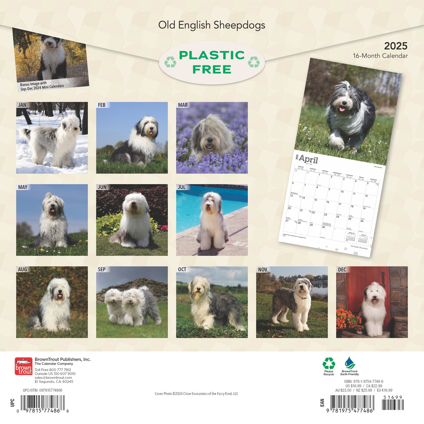 Old English Sheepdogs | 2025 12 x 24 Inch Monthly Square Wall Calendar | Plastic-Free | BrownTrout | Animals Dog Breeds