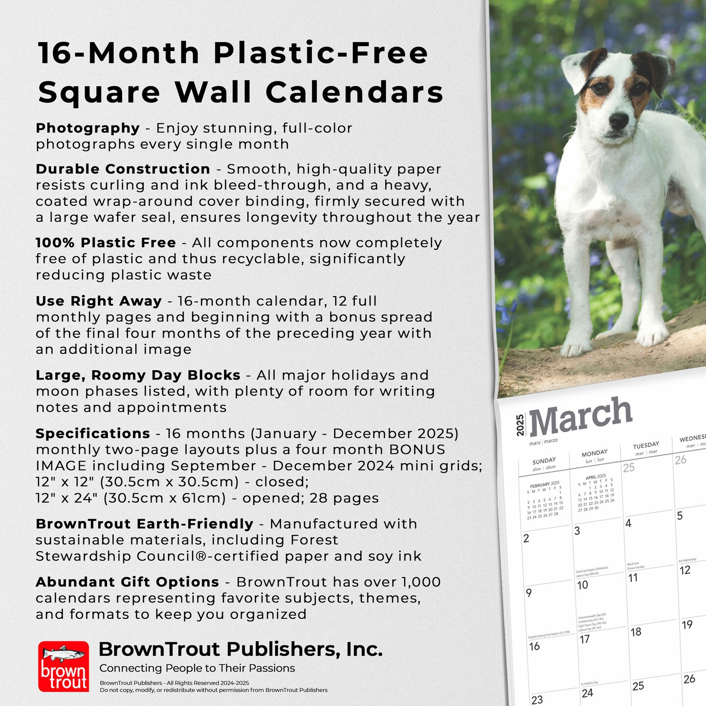 Jack Russell Terriers | 2025 12 x 24 Inch Monthly Square Wall Calendar | Plastic-Free | BrownTrout | Animals Dog Breeds