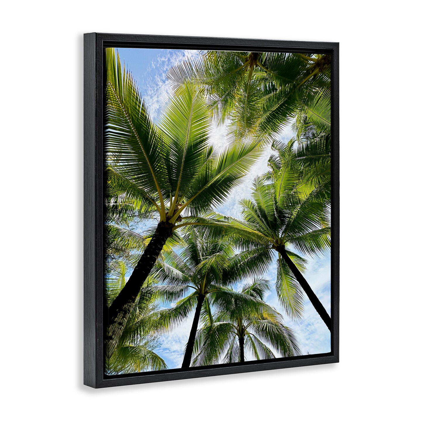 Stupell Industries Overhead Palm Trees Framed Floater Canvas Wall Art Design by Kali Wilson