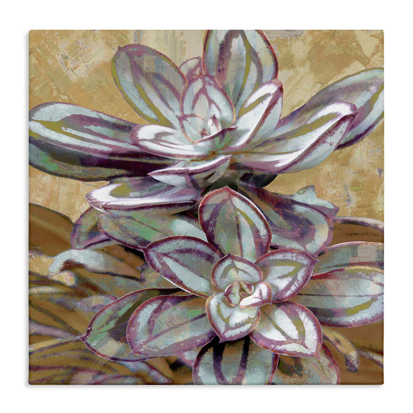 Stupell Industries Rustic Desert Succulents Canvas Wall Art Design by Lindsay Benson