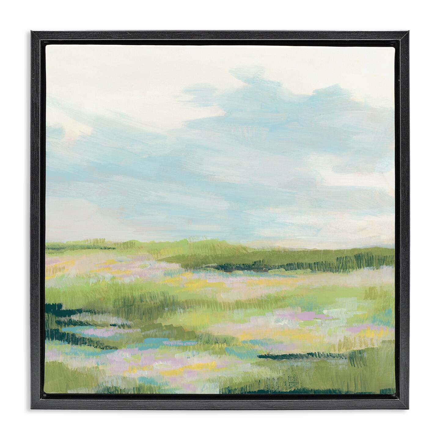 Stupell Industries Brushed Meadow & Sky Framed Floater Canvas Wall Art Design by June Erica Vess