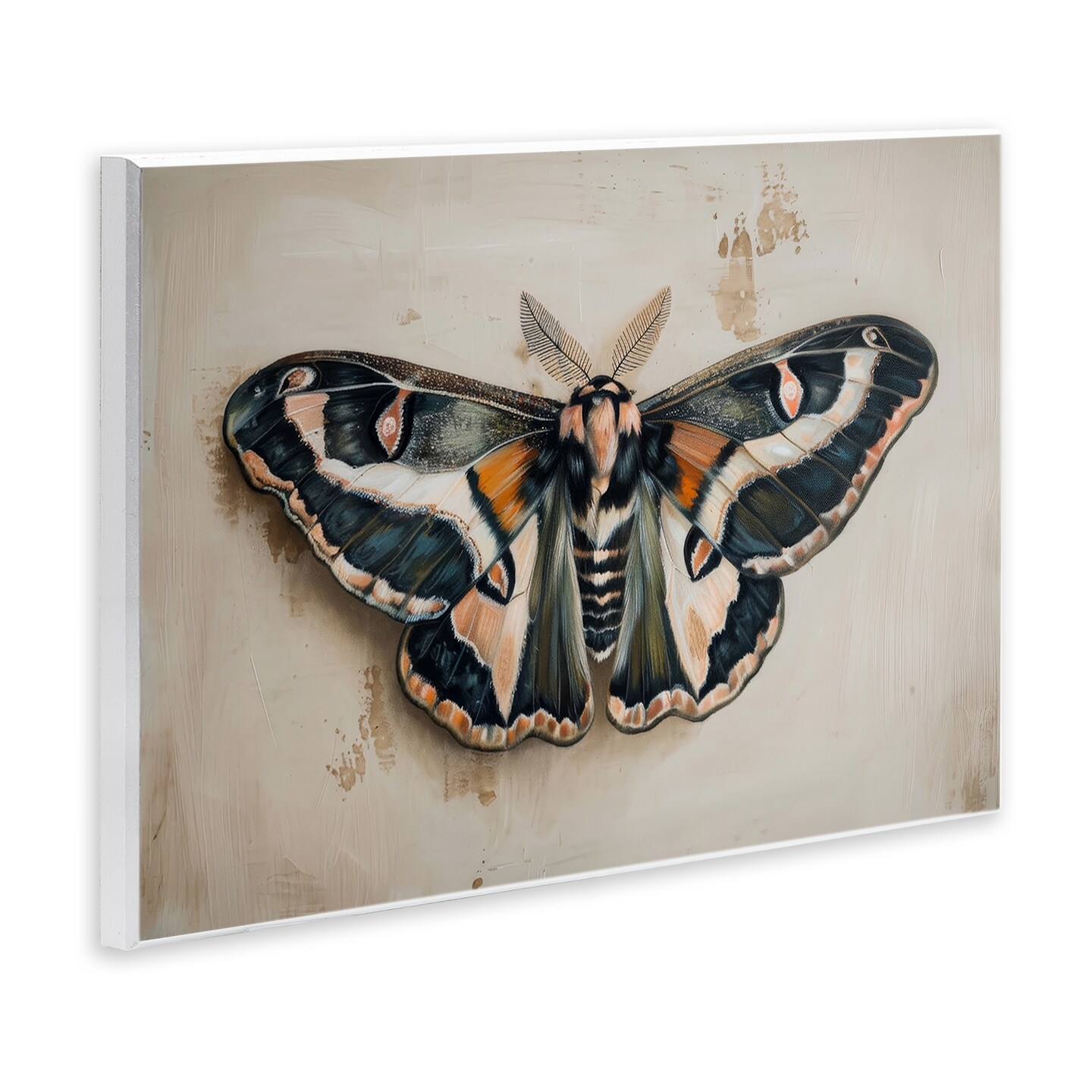 Stupell Industries Dark Winged Moth Wall Plaque Art Design by Petal Prints Design